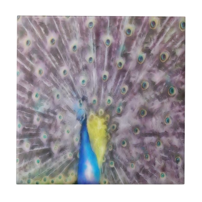 Fine Feather Peacock Mating Plumage Ceramic Tile (Front)