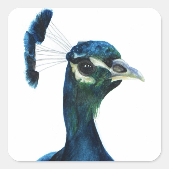 Fine Feathers Square Sticker (Front)