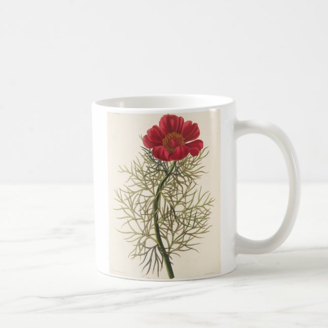 Fine Leaved Paeony Coffee Mug (Right)