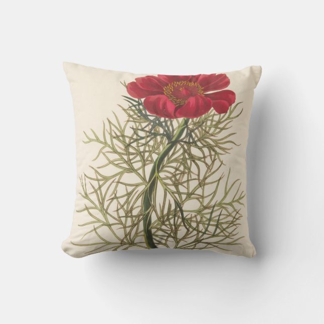 Fine Leaved Paeony Cushion (Front)