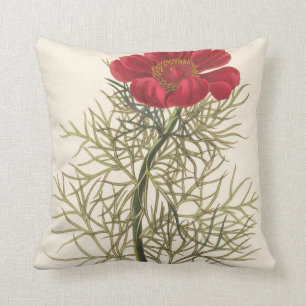 Fine Leaved Paeony Cushion