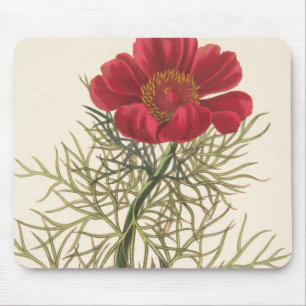 Fine Leaved Paeony Mouse Pad