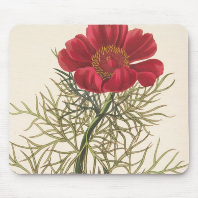 Fine Leaved Paeony Mouse Pad (Front)