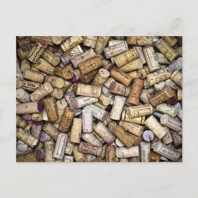 Fine Wine Corks Postcard (Front)