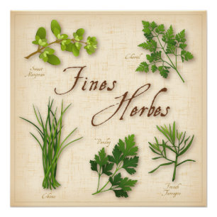 Fines Herbes, Parsley, Chives, Tarragon, Chervil, Poster