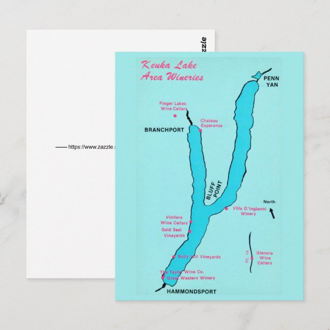  Finger Lakes Wine Postcard (Front/Back)