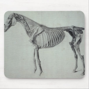Finished Study for the Fifth Anatomical Table Mouse Pad