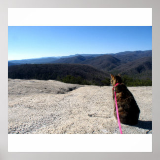 Fink on Stone Mountain Poster