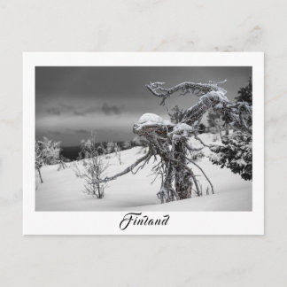 Finland alien tree postcard
