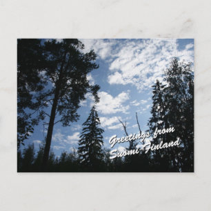 Finland Forest Postcard