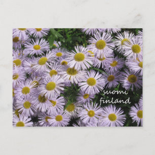 Finland in Flowers, 2nd in a series Postcard