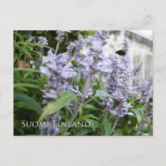 Finland in Flowers, 6th in a series Postcard