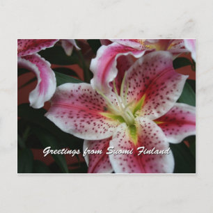 Finland in Flowers, 7th in a series Postcard