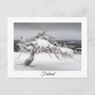 Finland winter souvenir postcard