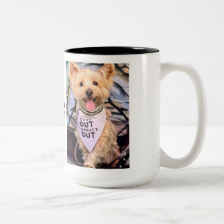 Finley J. Morkie "Suns out, Tongues Out" Mug