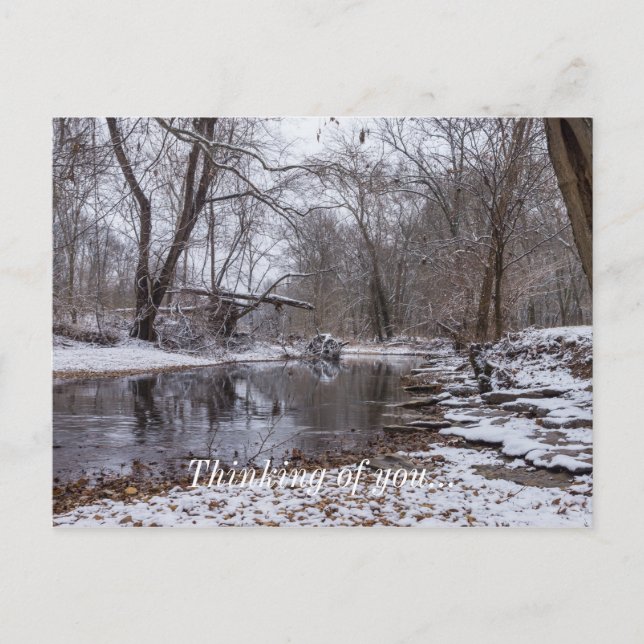 Finley Winter Snow Thinking Of You Postcard (Front)