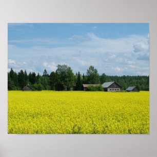 Finnish Countryside poster