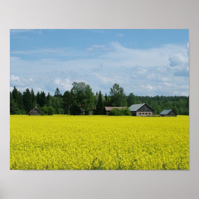 Finnish Countryside poster (Front)