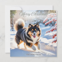 Finnish Lapphund Dog In Snow Stylish Picture