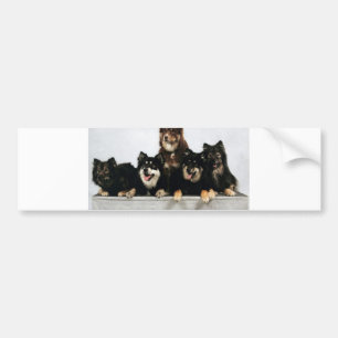 finnish lapphund group bumper sticker