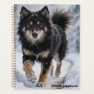 Finnish Lapphund Planner