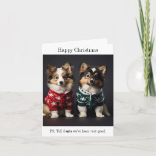 Finnish Lapphund Puppies Christmas Card