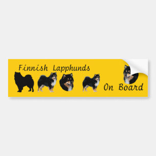 Finnish Lapphunds on Board Bumper Sticker