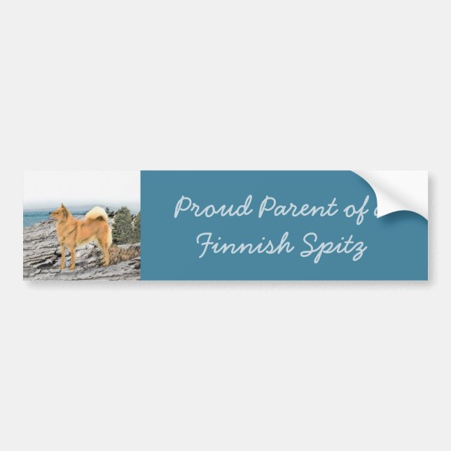Finnish Spitz at Seashore Painting - Dog Art Bumper Sticker (Front)
