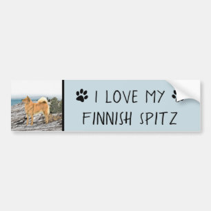 Finnish Spitz at Seashore Painting - Dog Art Bumper Sticker