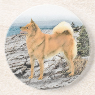 Finnish Spitz at Seashore Painting - Dog Art Coaster