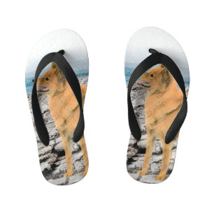 Finnish Spitz at Seashore Painting - Dog Art Kid's Thongs