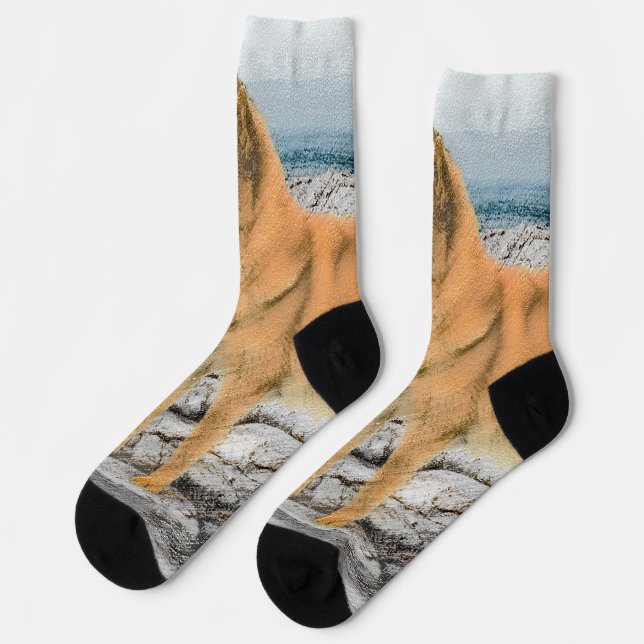 Finnish Spitz at Seashore Painting - Dog Art Socks (Left)