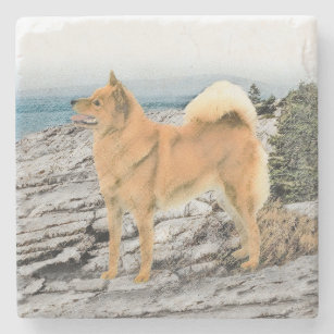 Finnish Spitz at Seashore Painting - Dog Art Stone Coaster