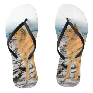 Finnish Spitz at Seashore Painting - Dog Art Thongs