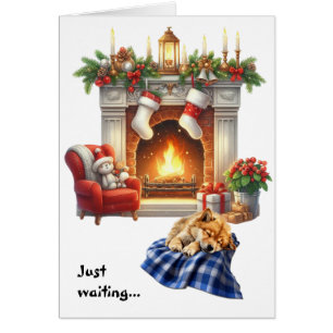 Finnish Spitz Dog Waiting for Christmas