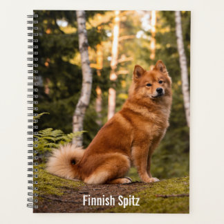 Finnish Spitz Planner