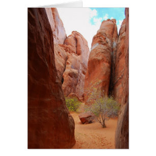 Fins, Arches National Park, Utah Card