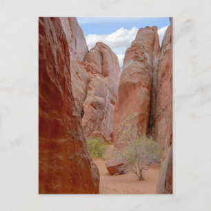 Fins, Arches National Park, Utah, Postcard