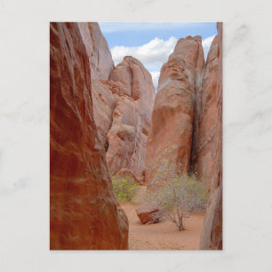 Fins, Arches National Park, Utah, Postcard