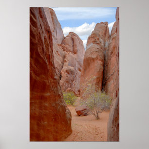 Fins, Arches National Park, Utah Poster