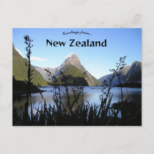 Fiordland New Zealand Postcard
