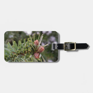 Fir buds luggage tag
