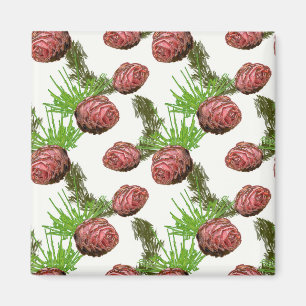 Fir cones and branches on white. magnet