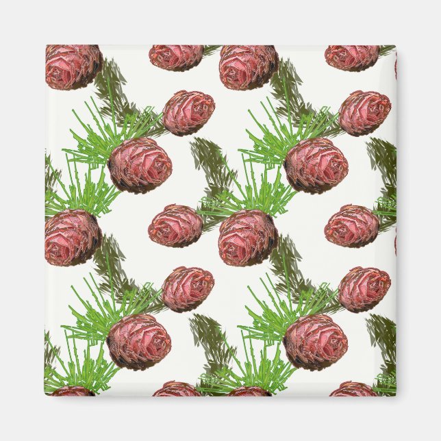 Fir cones and branches on white. magnet (Front)