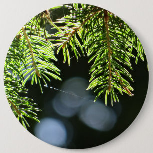 Fir pine needles with bokeh 6 cm round badge