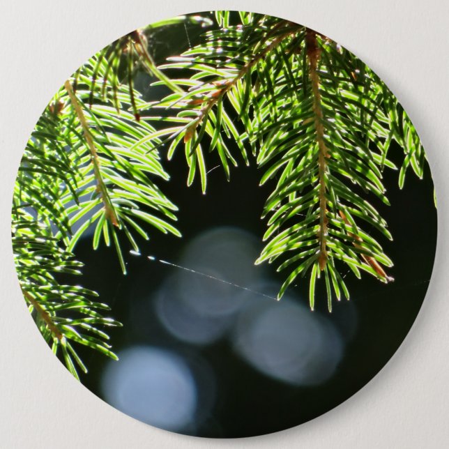 Fir pine needles with bokeh 6 cm round badge (Front)