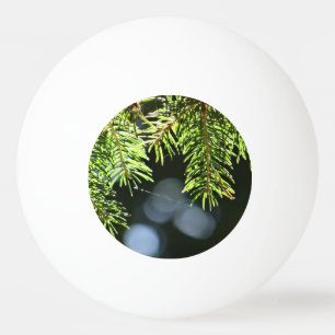 Fir pine needles with bokeh ping pong ball