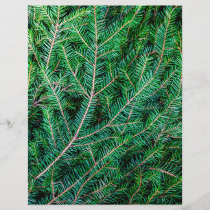Fir tree branch flyer