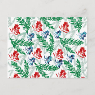 Fir Tree Branches with Berries Postcard
