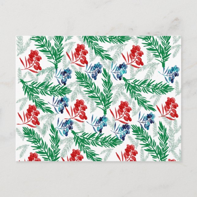 Fir Tree Branches with Berries Postcard (Front)